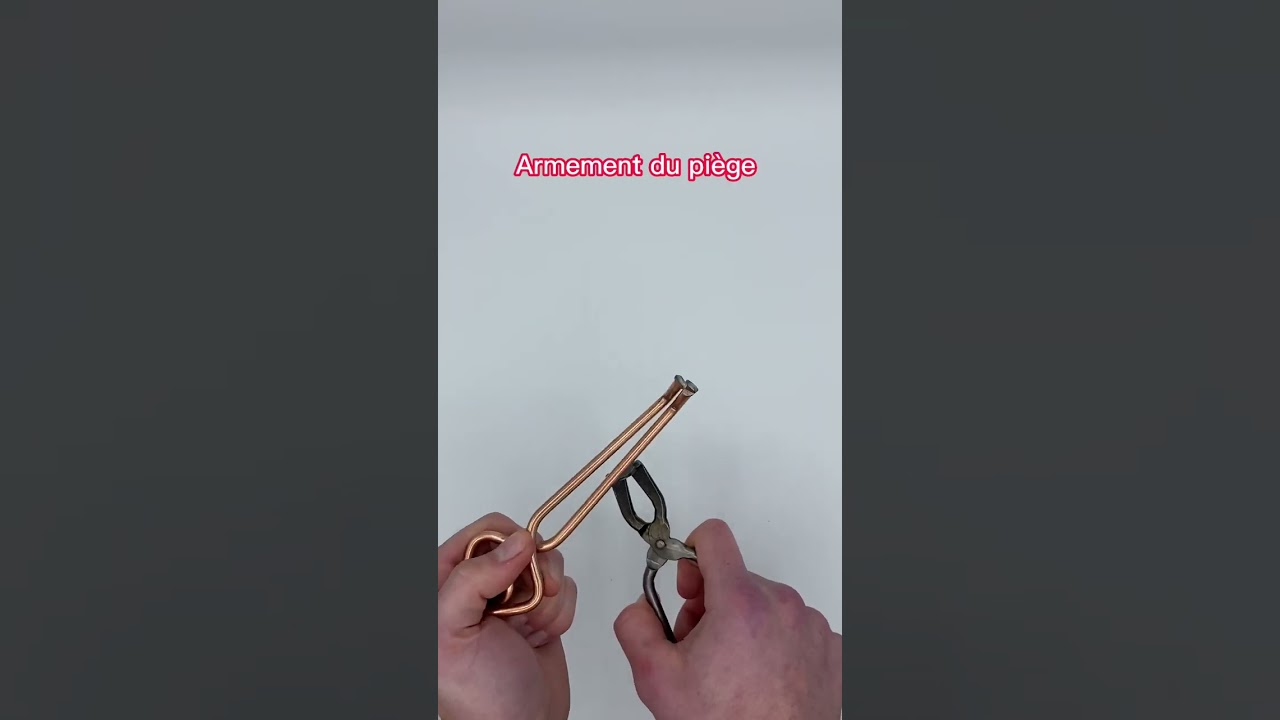 Tuto installation de pièges à taupes Putange