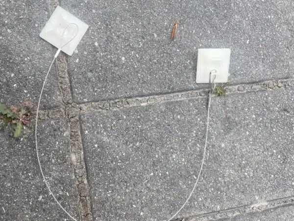 Cables de fixation pour poste d'appâtage rongeurs