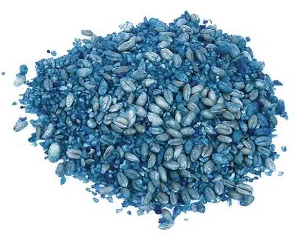 raticide grain bleu
