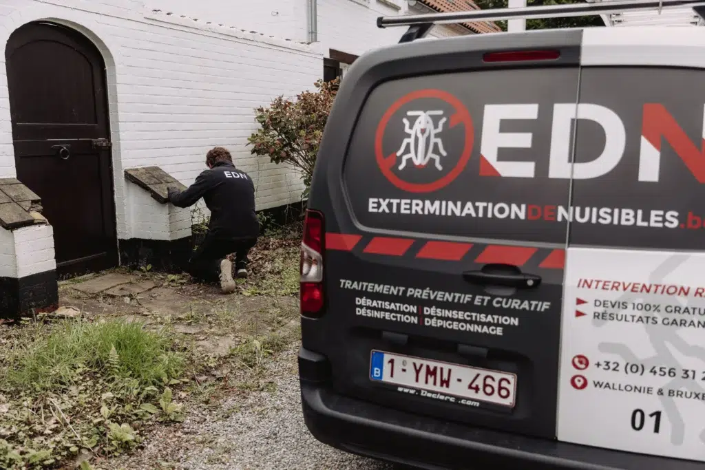 Dératiseurs professionnels pour éradiquer les invasions de rats