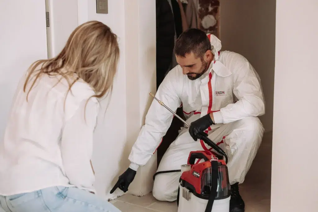 Intervention de désinsectisation pour lutter contre les cafards