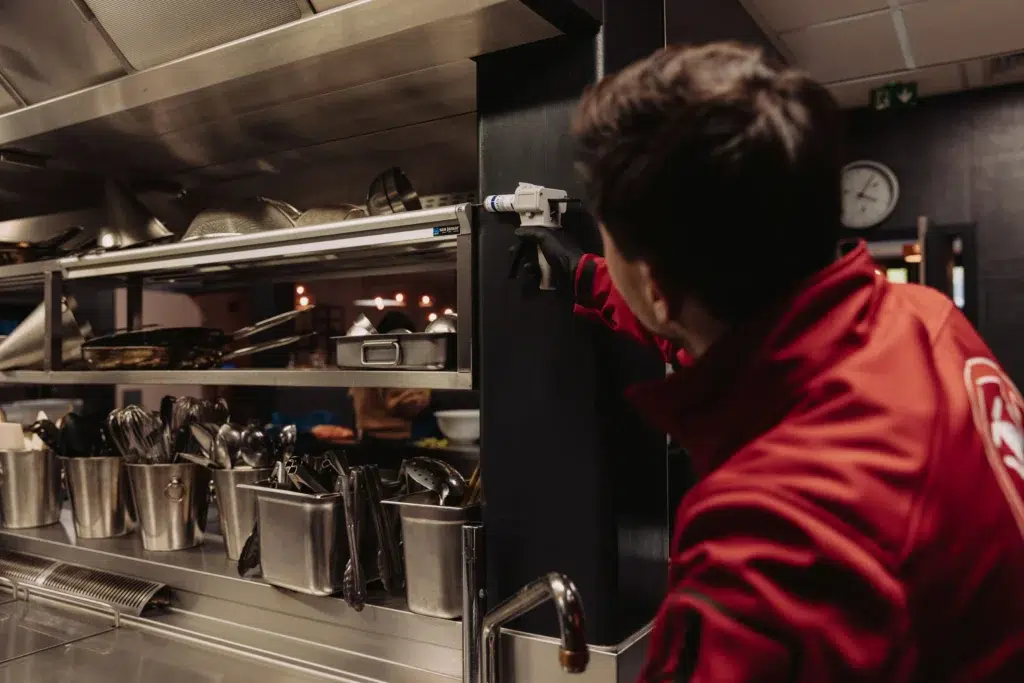 Cafards dans hôtel&nbsp;: traitement professionnel cuisine