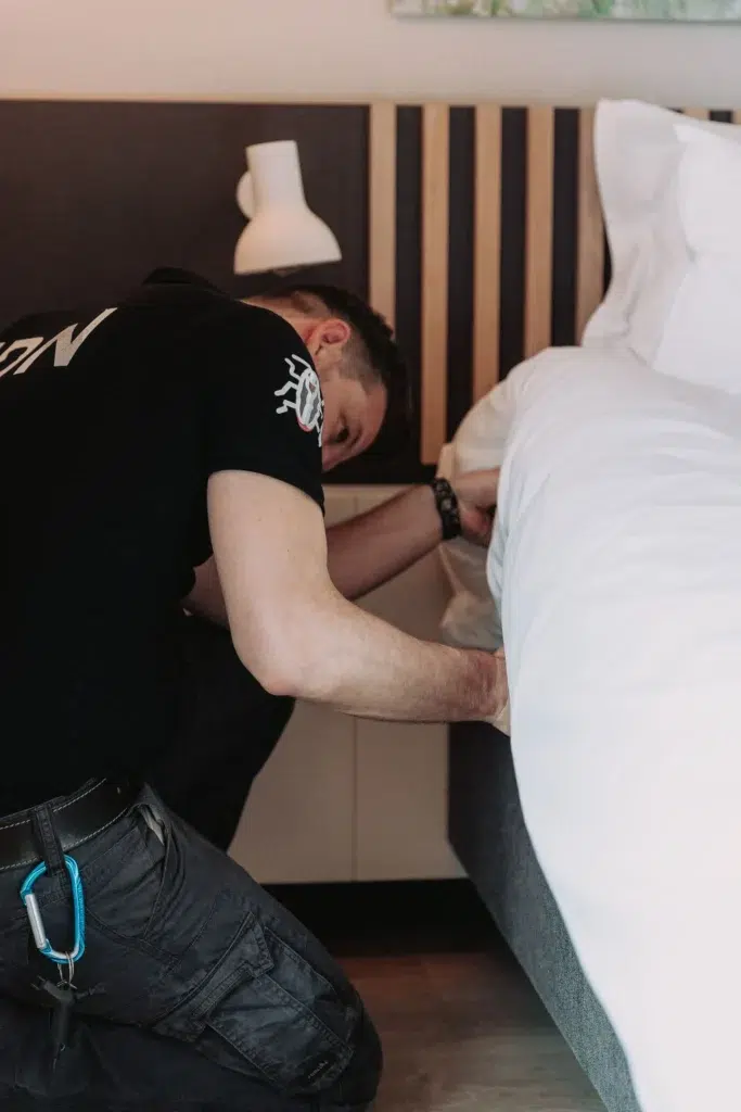 Cafards dans hôtel&nbsp;: détection chambre