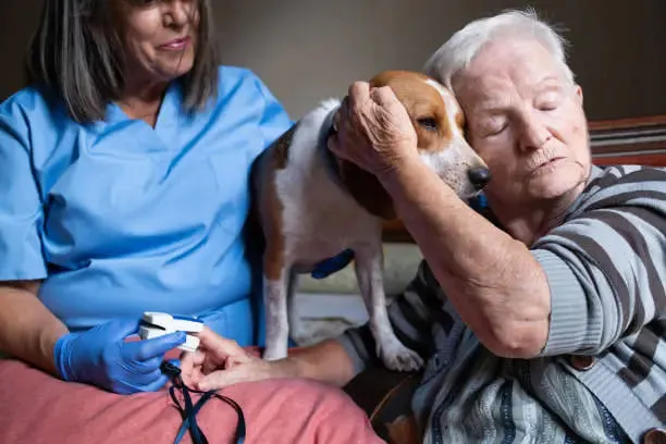 Règles accueil animaux compagnie en maison de repos