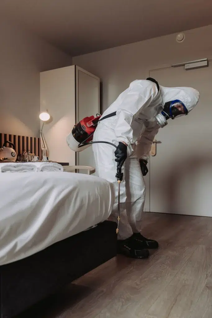 Traitement professionnel punaises de lit en maison de repos