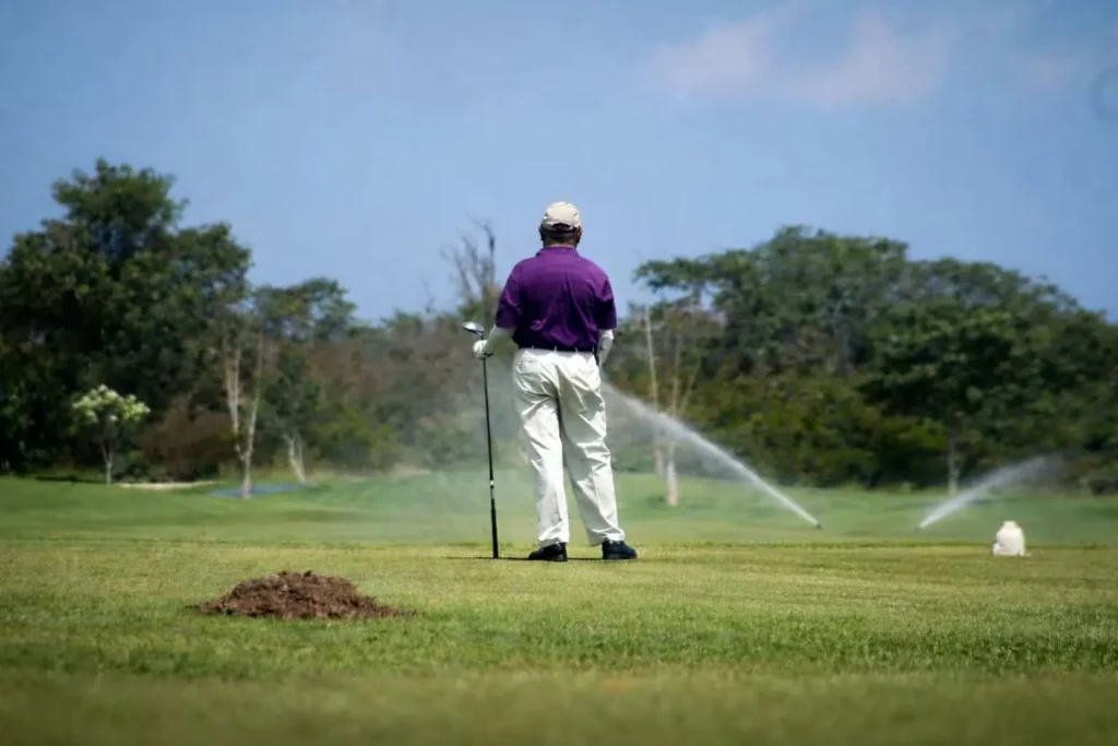 Qualité des pelouse golf et attraction taupes