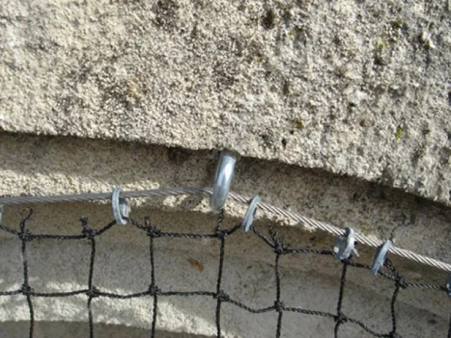 Ancrage cable pour filet anti-pigeons